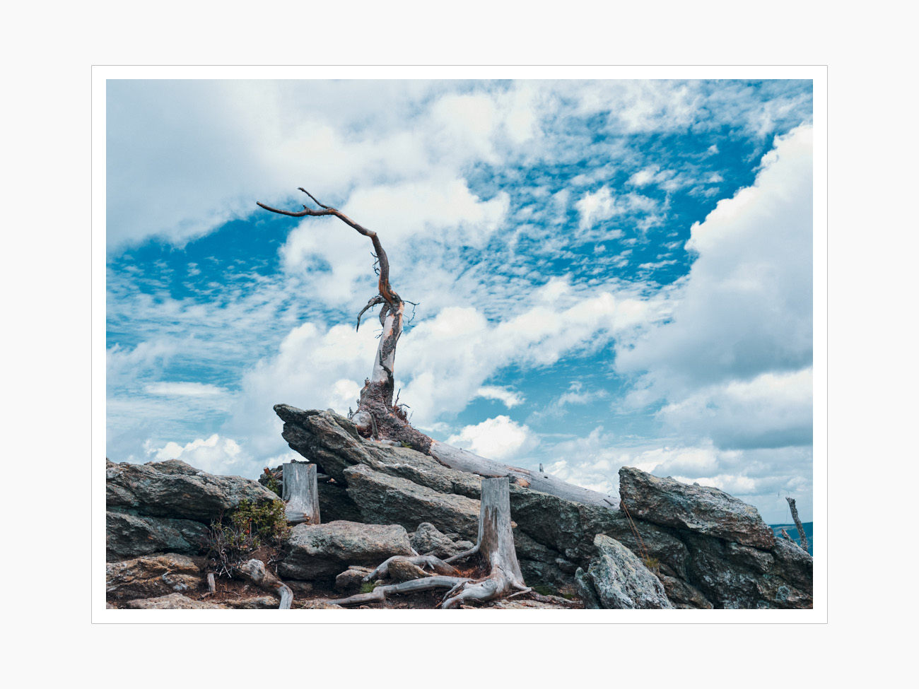 Max Schiefele Alle Bilder  DSF1038